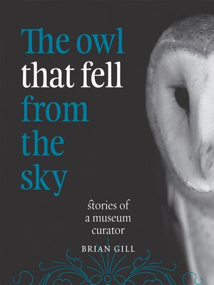 cover image of The Owl That Fell from the Sky